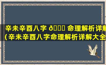 辛未辛酉八字 🐅 命理解析详解（辛未辛酉八字命理解析详解大全）